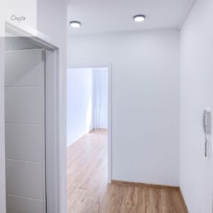 xr:d:DAFr4XH__4M:41,j:1516987280191297326,t:23081812